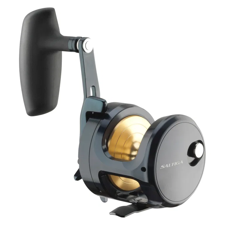 Daiwa 24 Saltiga (G) 15 – bilde 3
