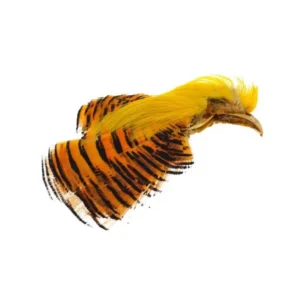 FlyCo GOLDEN PHEASANT CREST AND TIPPET