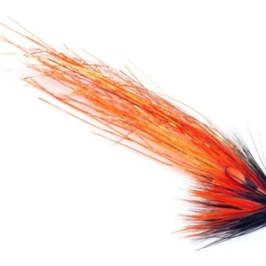 Guideline SG's Orange Flashwing