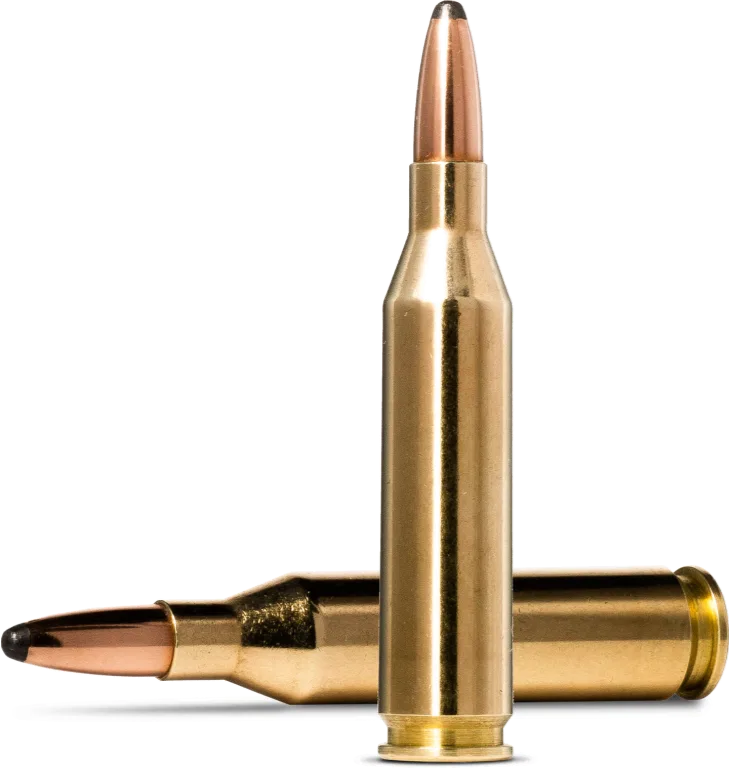 Norma Whitetail 30-30 Win 9,7g/150 gr – bilde 2