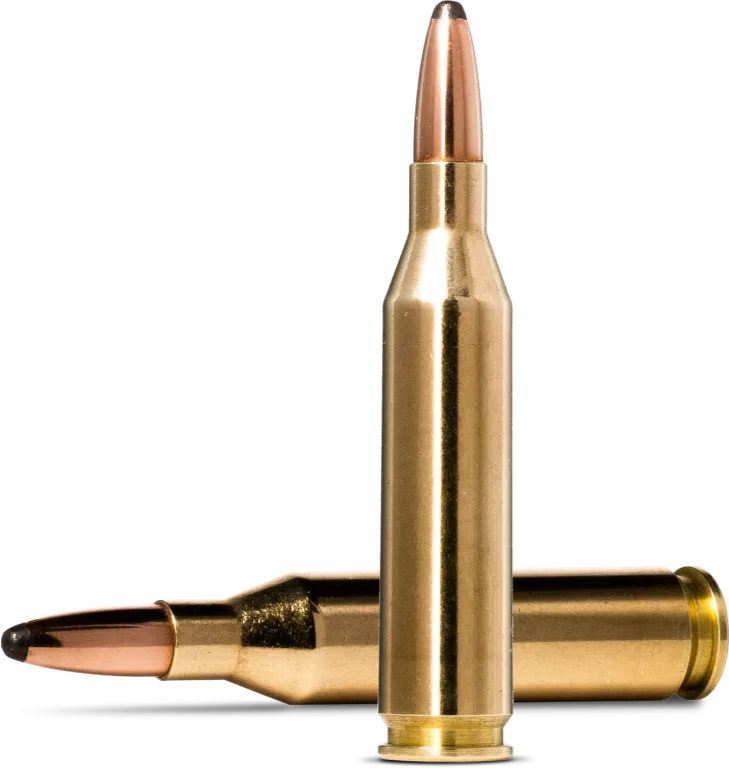 Norma Whitetail 308 Win 11,7g/180 – bilde 2