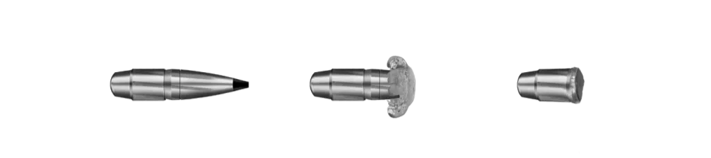 RWS Speed Tip Pro 338 LAPMAG 16,2 g/250 – bilde 2