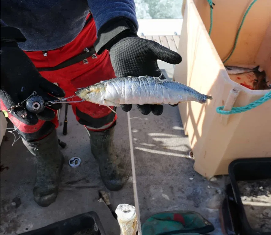 Søvik Elastisk Agntråd dispenser – bilde 2