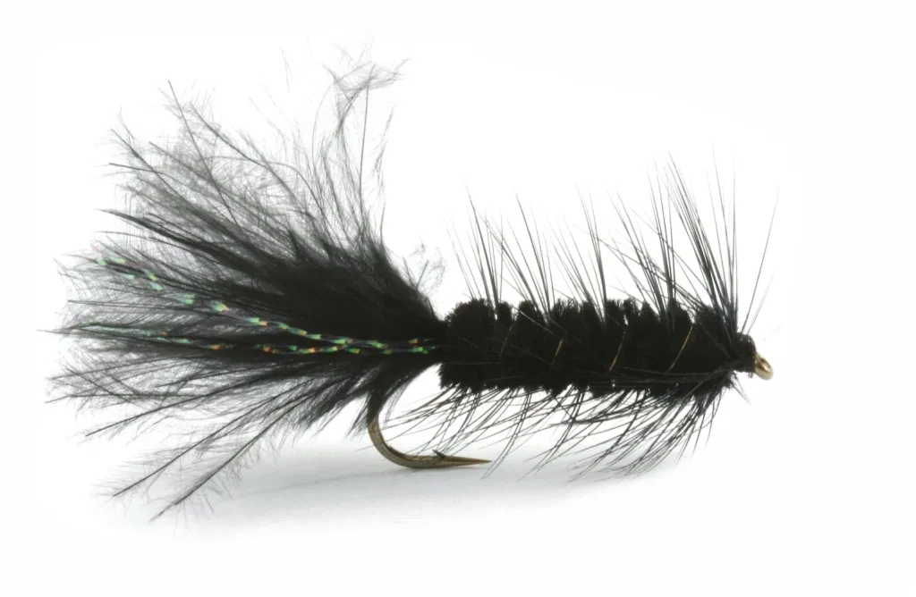 Wooly Bugger Black